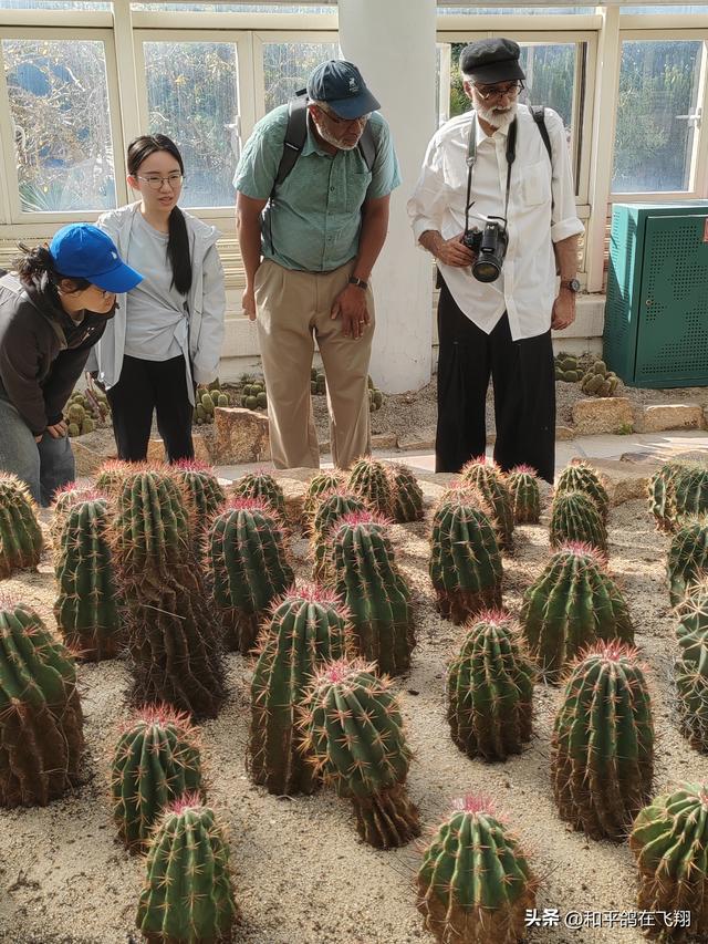 厦门植物园：邂逅自然的绮梦