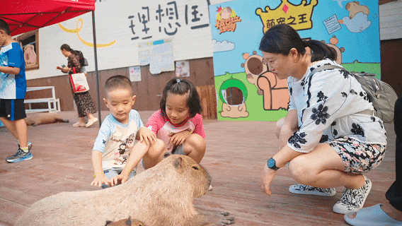 淄博版“疯狂动物城”来了！网红萌宠已就位，快来当一日“荣誉市民”→