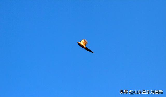 转了一个小圈·及其它