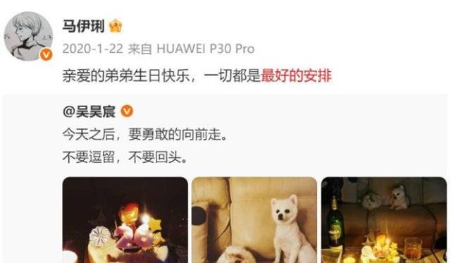 钱再多也没用！向太曝马伊琍已再婚，原来当年文章过不了心里那关