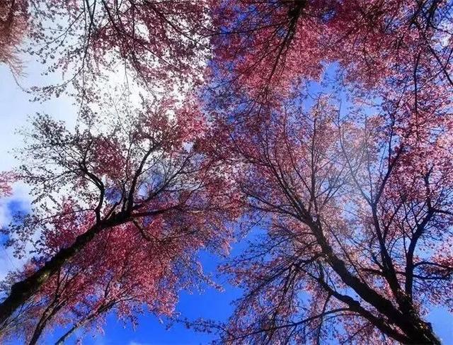 冬天在大理，要做这10件事！