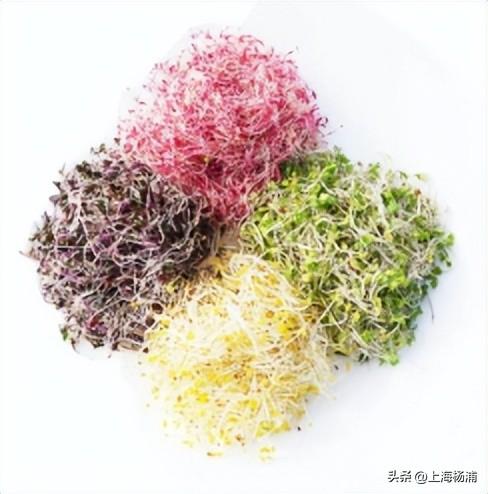 “沪派江南”复兴市集开张啦！本周六，登岛逛吃玩