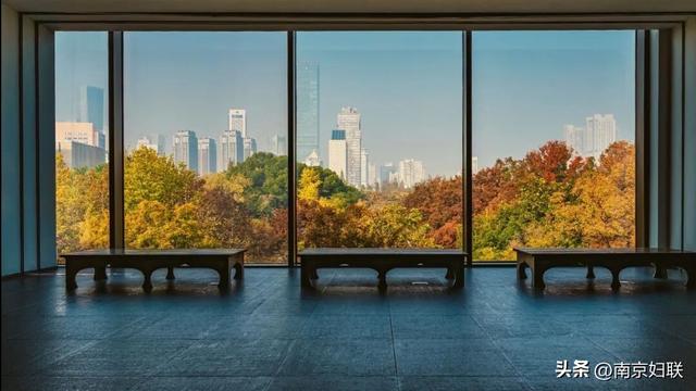 南京这些“魔法之窗”，怎么拍都出片！
