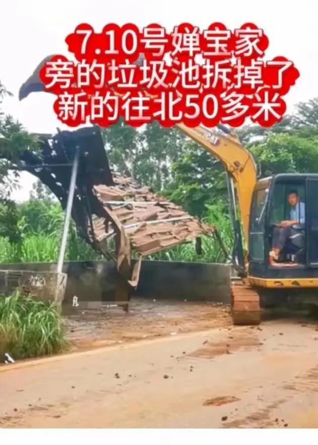 妥协了!婵宝家的邻居终于把影响婵宝家建新房进程的树修剪好，