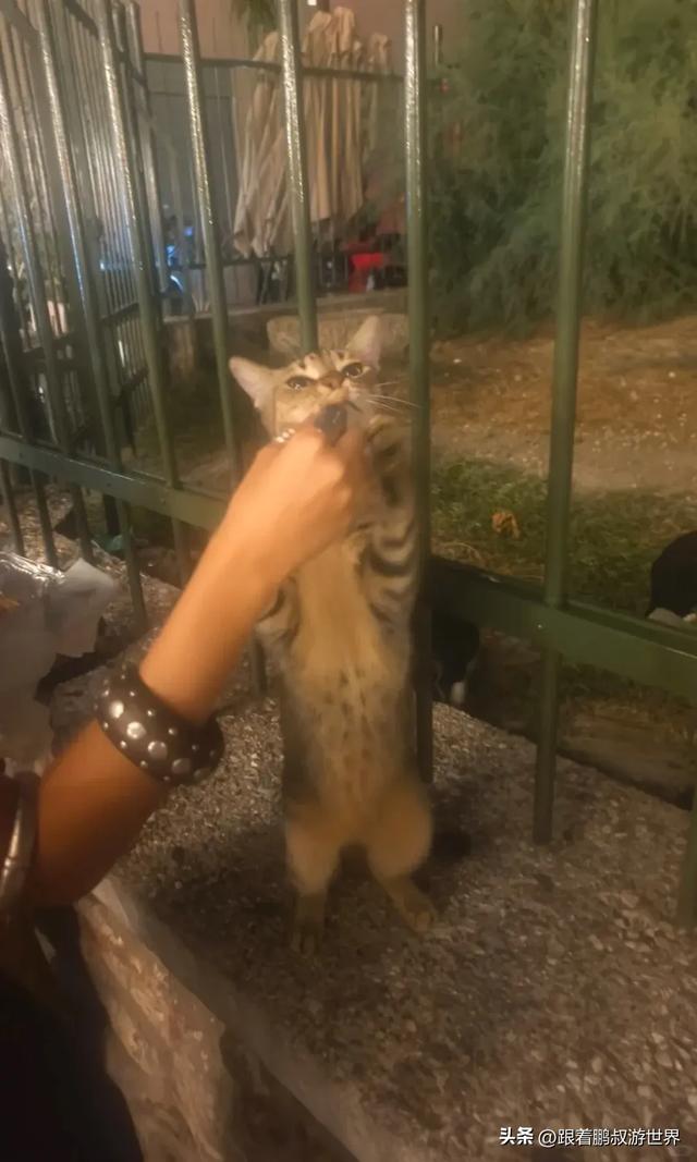 希腊,无疑是我近年来去的欧洲国家里对中国最友好的国家