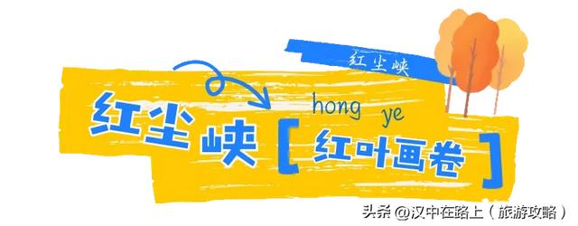 汉中这处红叶已进入最佳观赏期