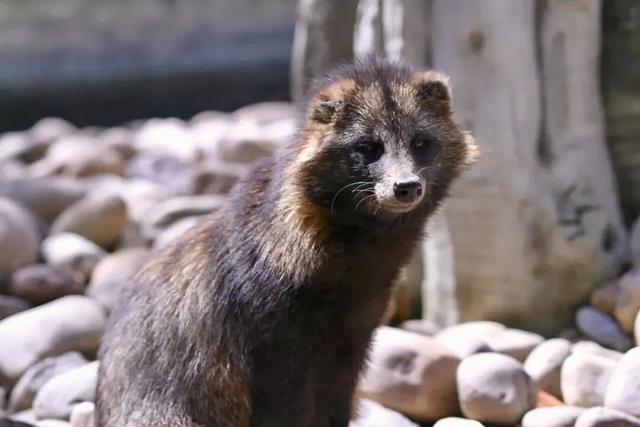 即将进入“高铁时代”的宝藏小城！三十六计，风味人间，爱了爱了……