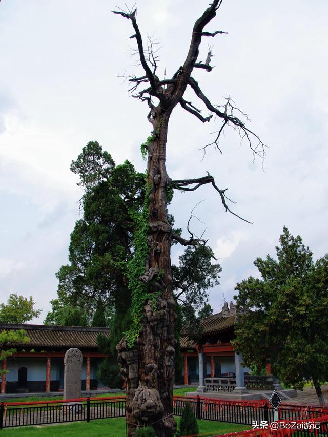 河南现中原古建博物馆，济渎庙守济水源头，故事超厚重