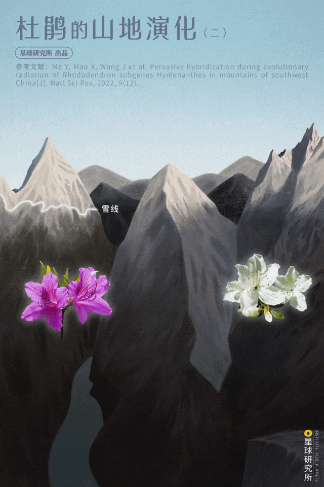 中国的雪山花海，开始征服地球了？③