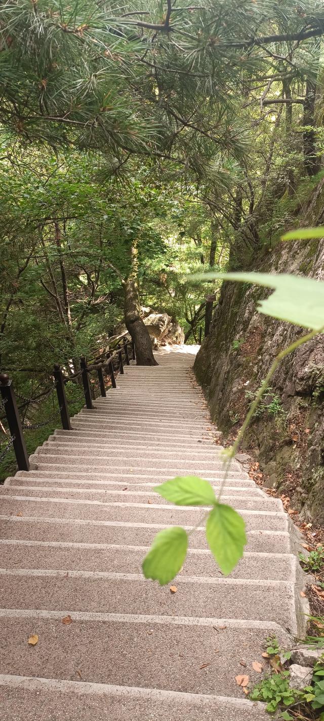 王顺山观景台风光