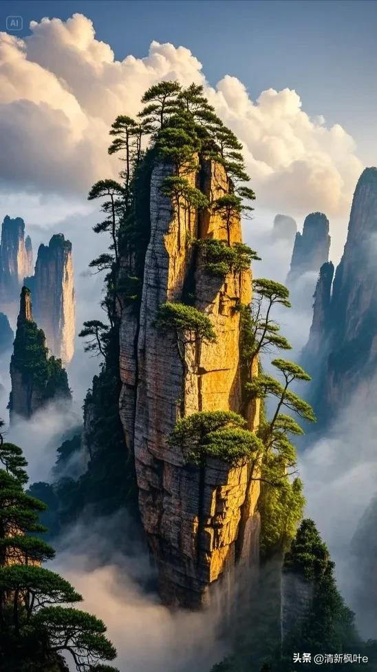 在云雾缭绕的奇幻之境，张家界悬浮山宛如超脱尘世的仙岛傲然矗立