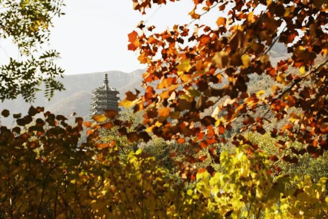 岁月忽向晚，山河染秋色！接下来的房山，每一处都美到心巴上→