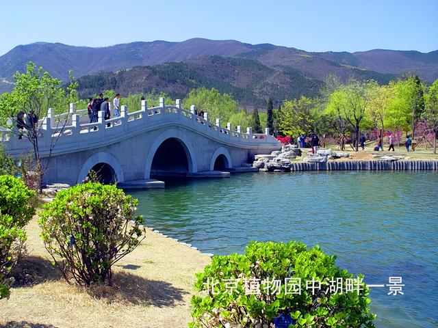 北京旅游：走进西山脚下的植物园（图）