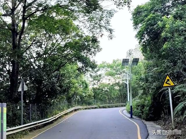 深圳马峦山看瀑布攻略(夏天避暑必去榜)