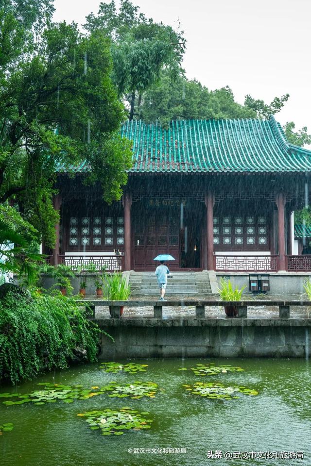 狂降10℃，武汉最凉快的一周，这样玩