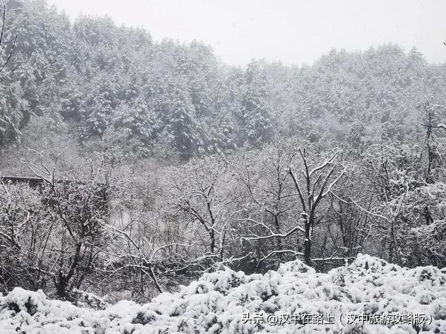 汉中多景区发布闭园公告→