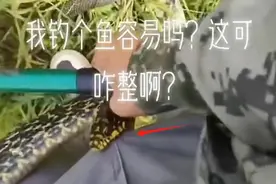 咬到命根子也不松鱼竿！湖北一钓鱼男子被蛇缠住，淡定拍照引热议图片
