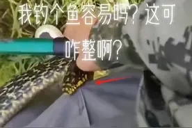 咬到命根子也不松鱼竿！湖北一钓鱼男子被蛇缠住，淡定拍照引热议图片