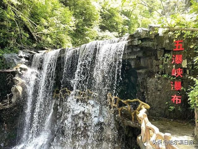 【花样“尔滨”】花海与清凉完美融合！凤凰山避暑游，这些人门票半价——