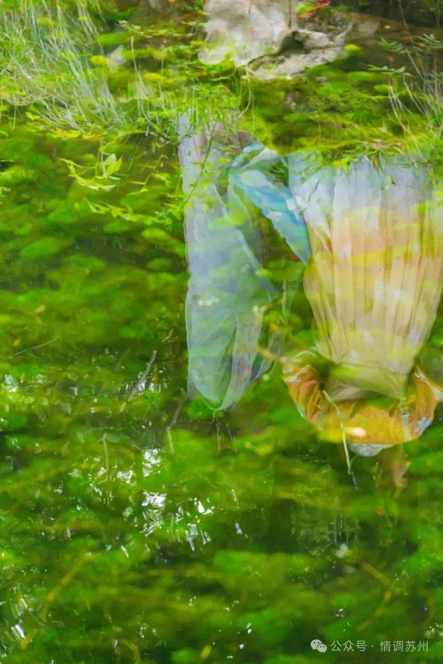 苏州拙政园的曲水里，藏着另一处天地