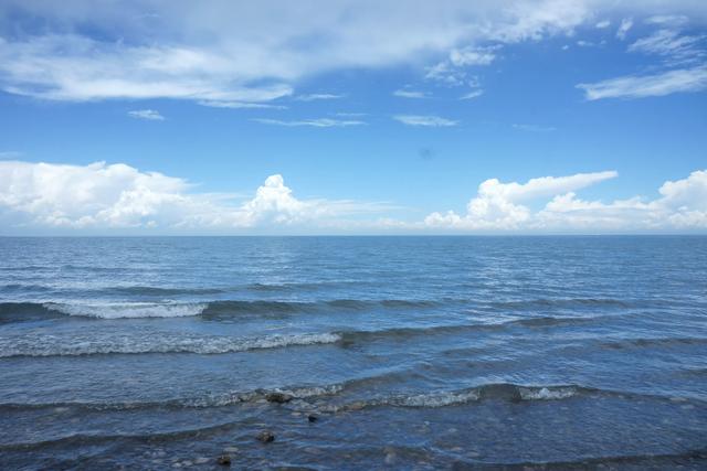 夏日里的青海湖 :花正黄,水正清,天正蓝…