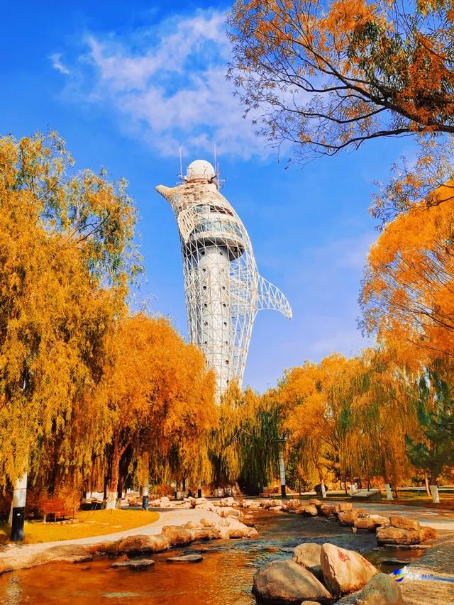 才几天没去,这个公园最近居然变成这样了?!