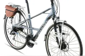 给中老年朋友推荐一款单车图片