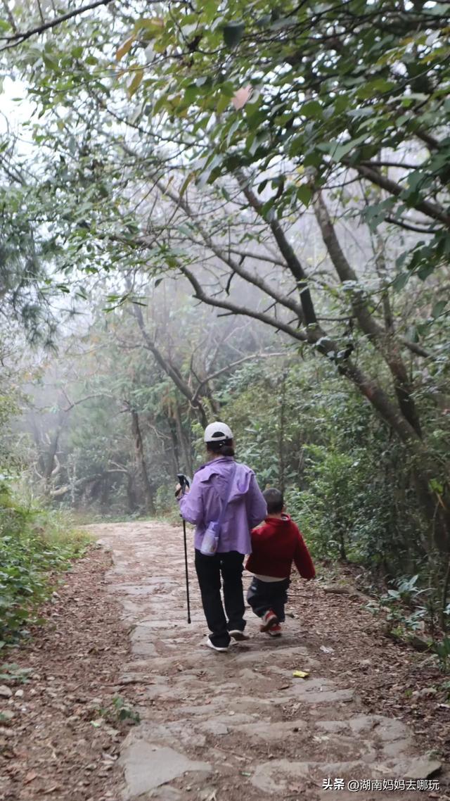 1.5h直达!藏在山野里的捡秋秘境,瀑布+挖宝双buff拉满!