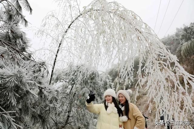 绝美！三江大塘坳惊现“琉璃仙境”！