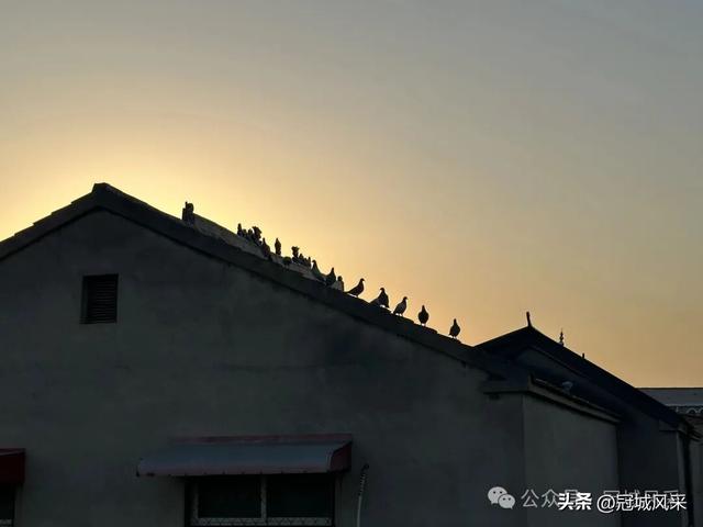 大名城韵·大名古城