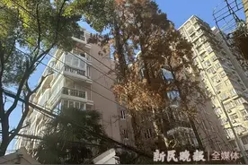 大树频频越界 扰民何时能休图片