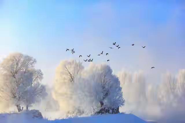 “不怕大雪雨	，就怕大雪晴”，今日大雪，晴天不好吗？答案来了