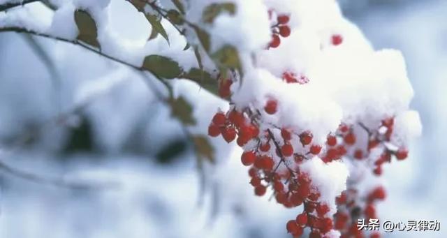 23日霜降，“上午霜降冻死牛，下午霜降暖烘烘”,今年霜降在哪儿?