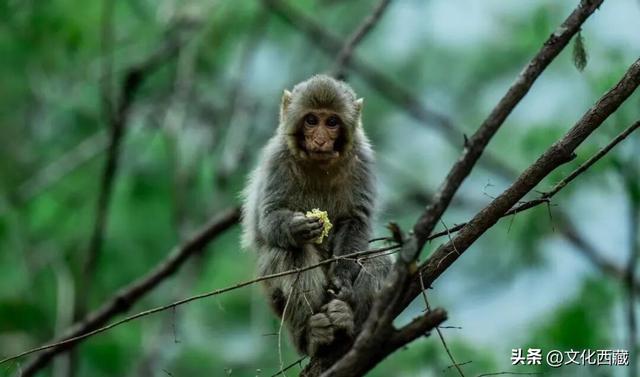 太！美！了！邂逅被360°雪山包围的浪漫！人这辈子总要去一次！