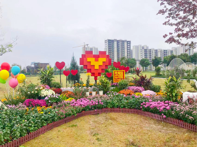 年度金秋盛宴来了，武汉城建集团邀您逛菊展、赏名菊、拍美照！