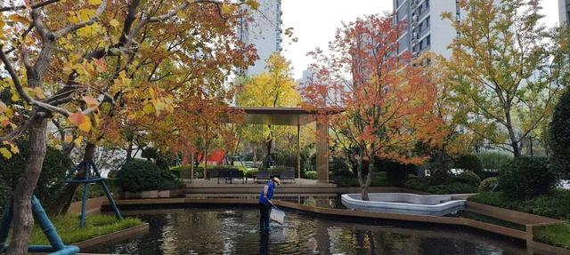 寻美薛城丨这里风景独好！美景尽收眼底，凭“颜值”出圈的社区美景！