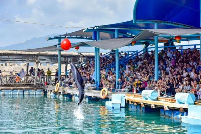 上天入海，动静皆宜的宝藏海岛打卡指南