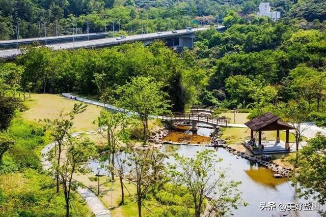 深圳新手必刷！5公里山海徒步，地铁直达→