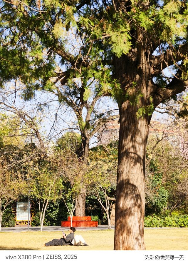 碧沙岗的秋，是郑州偷给我的半日温柔