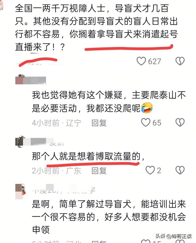爬泰山的作死夫妻被制裁！导盲犬被收回，身份被扒，家里还有一只