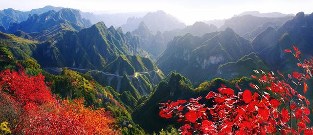文旅圈“冰火两重天”：4A景区流拍与乐园涨价受捧的真相