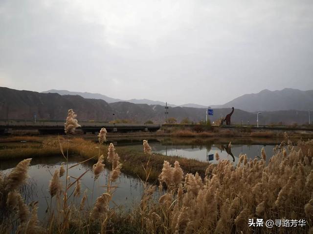 秋日从恐龙地址公园,沿铁路,伴着黄河,徒步至太极岛