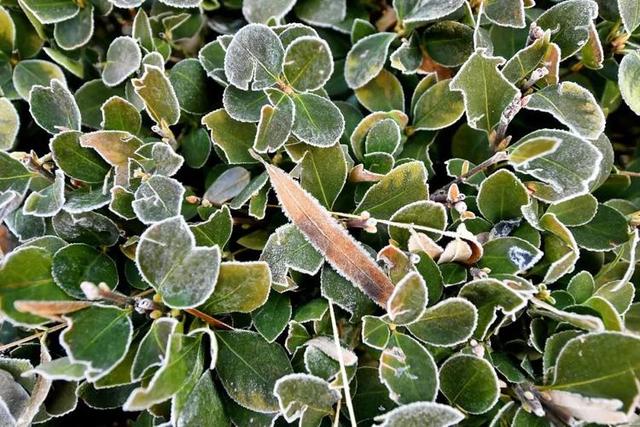 “上午小雪，冻死牛；下午小雪，暖烘烘”，今年小雪是几点？