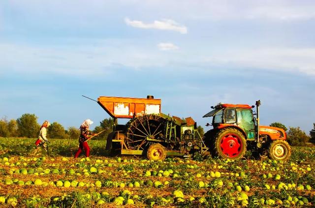 中国又创造了一大“奇迹”，14亿人将受益！让海外人士都惊呆了！