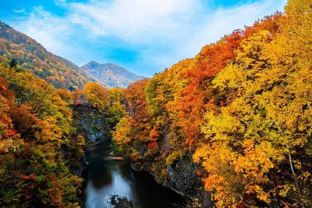 2025日本赏红叶攻略已出！附北海道、东北5大赏红叶景点~