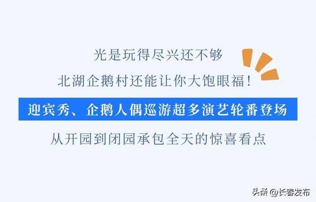 北湖企鹅村第二季预计12月25日焕新开园
