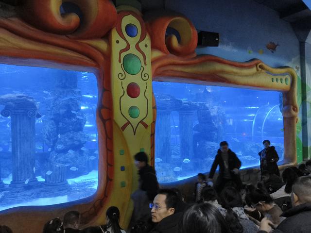 在兰州，极地海洋世界，看美人鱼🧜🏻‍♀️表演