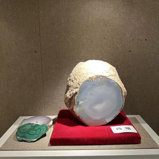 走，去中医药博物馆看玛瑙（说笑了~）