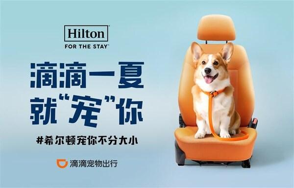 旅游媒体｜希尔顿集团旗下酒店升级宠物友好体验｜广州旅游媒体