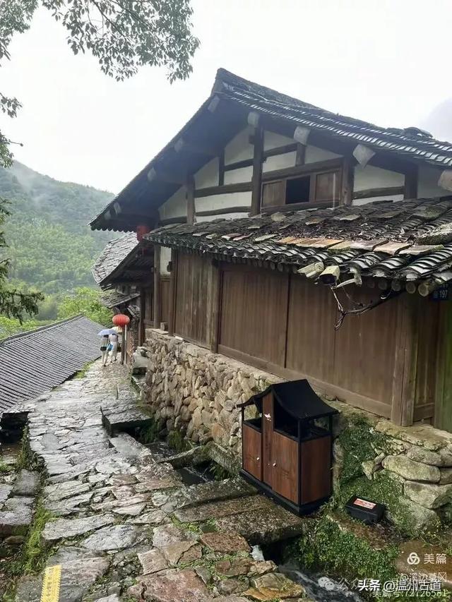 4A级免费景区徒步+避世绝美古村探幽，温州一日游的绝佳选择！
